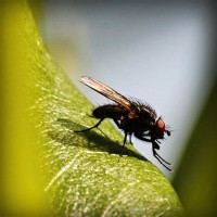 /album/quem-s%c3%a3o-as-bruxas-de-hoje/photolia-a04-jpg/