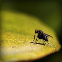 /album/quem-s%c3%a3o-as-bruxas-de-hoje/photolia-a07-jpg/