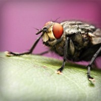 /album/quem-s%c3%a3o-as-bruxas-de-hoje/photolia-a08-jpg/